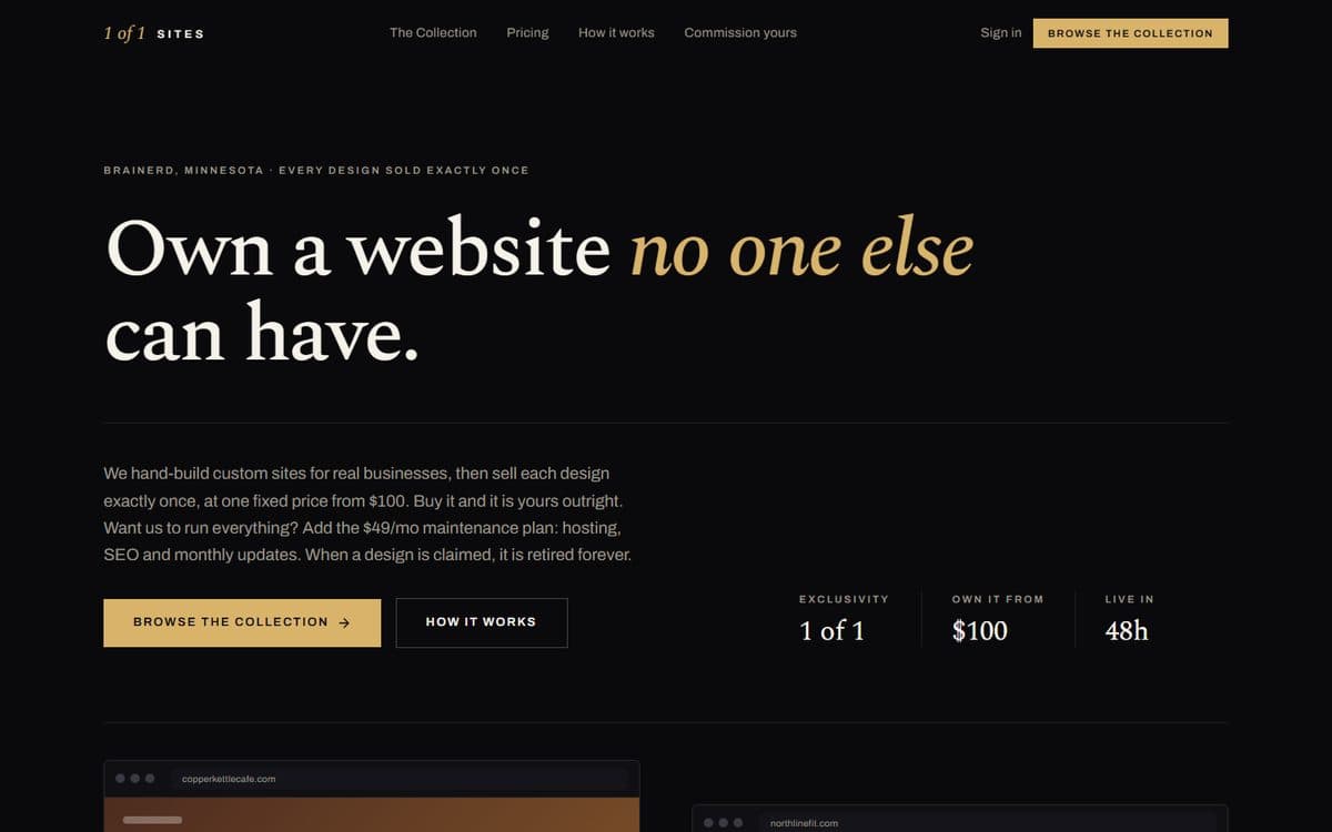 The 1 of 1 Sites homepage: a dark page with a large serif headline reading Own a website no one else can have, above three example listings in browser frames