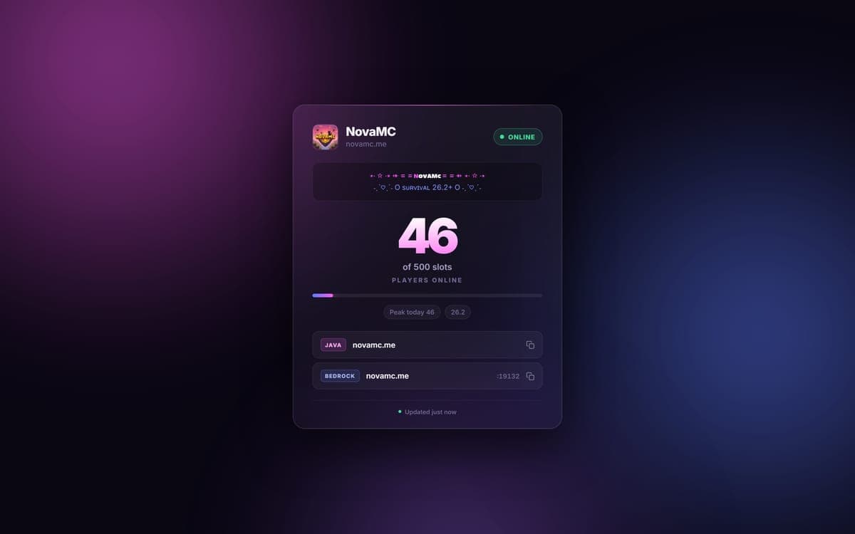 Screenshot of NovaMC Status